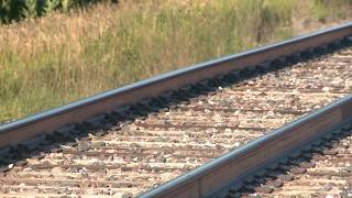 Kossuth Co. Sheriff's Office recognizes northern Iowa man, dispatchers for response to train crash