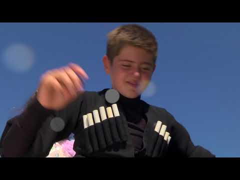 ბედაური