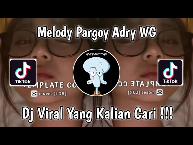 DJ MELODY PARGOY ADRY WG VIRAL TIK TOK TERBARU 2023 class=