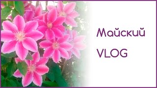 Майский VLOG