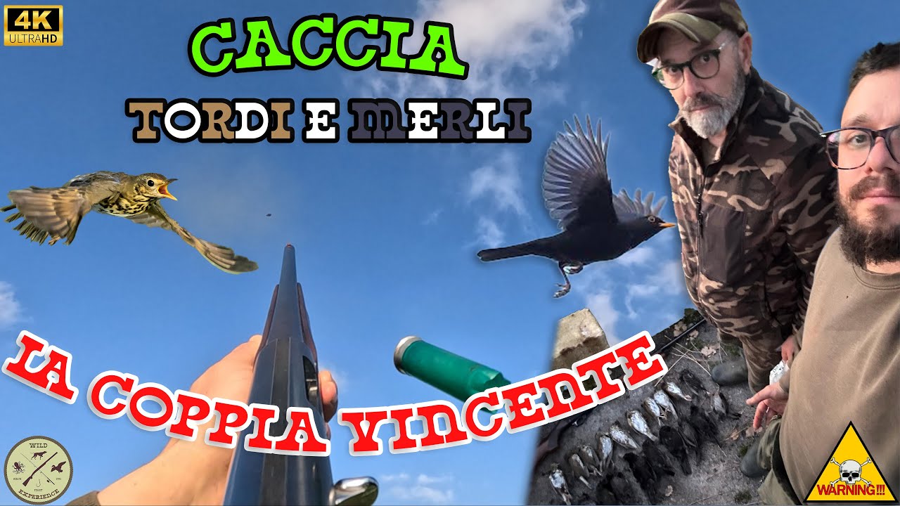 CACCIA ai TORDI allo SCACCIO PUGLIA - LA COPPIA VINCENTE - CON IL BENELLI 121 - TRUSH HUNTING - 4K