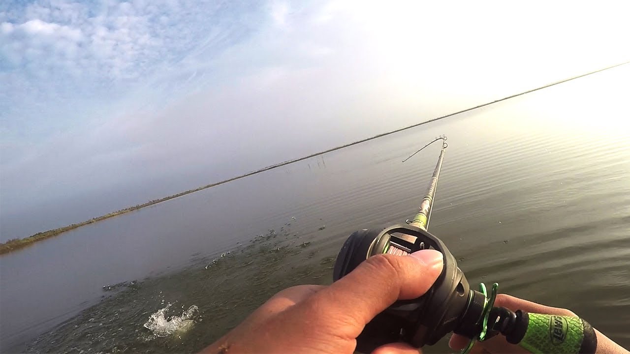 Tearing Up Fish on Flies and Down South Lure Color X!!