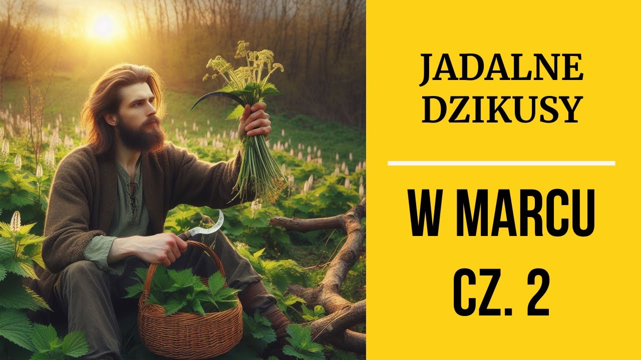 WIOSNA ach to ty - zbieramy dzikie rośliny jadalne w MARCU 2024