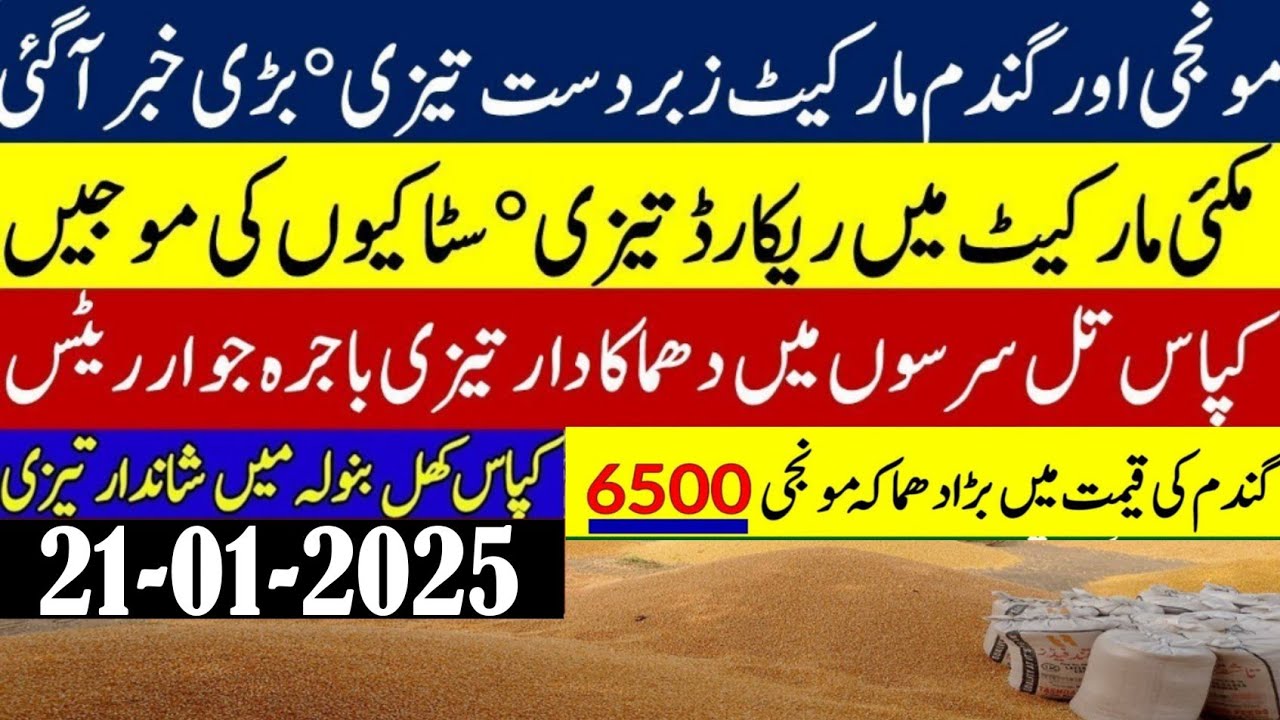 Wheat Rate today | New Munji rates 2025 |Gundam rate Makki Till rates ...