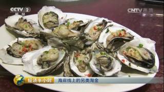 20170104 经济半小时 海岸线上的另类淘金