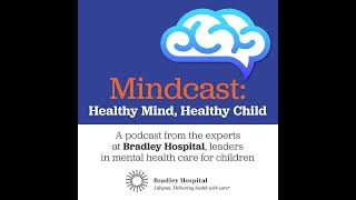 Supporting Children with Incarcerated Parents