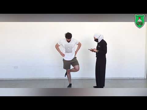 Static Balance Tests/ The Stork Stand Test