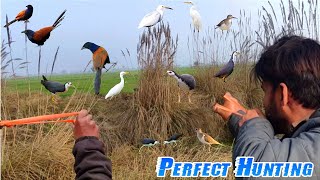 Perfect Birds Hunting With Handmade Slingshot!