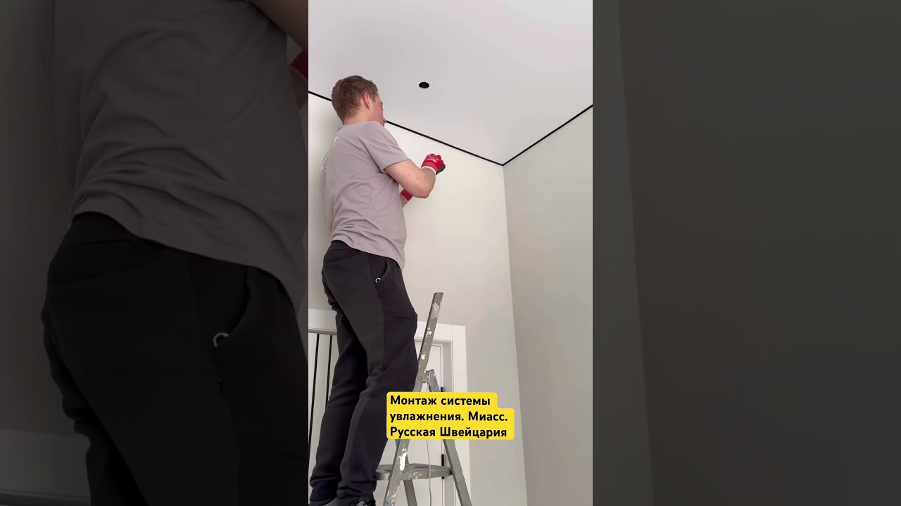 Компания Геолисс продолжает обустраивать свой офис. Теперь очередь дошла до увлажнения