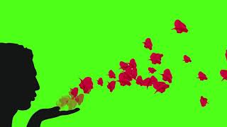 flower for flying kiss || green screen video background love flower