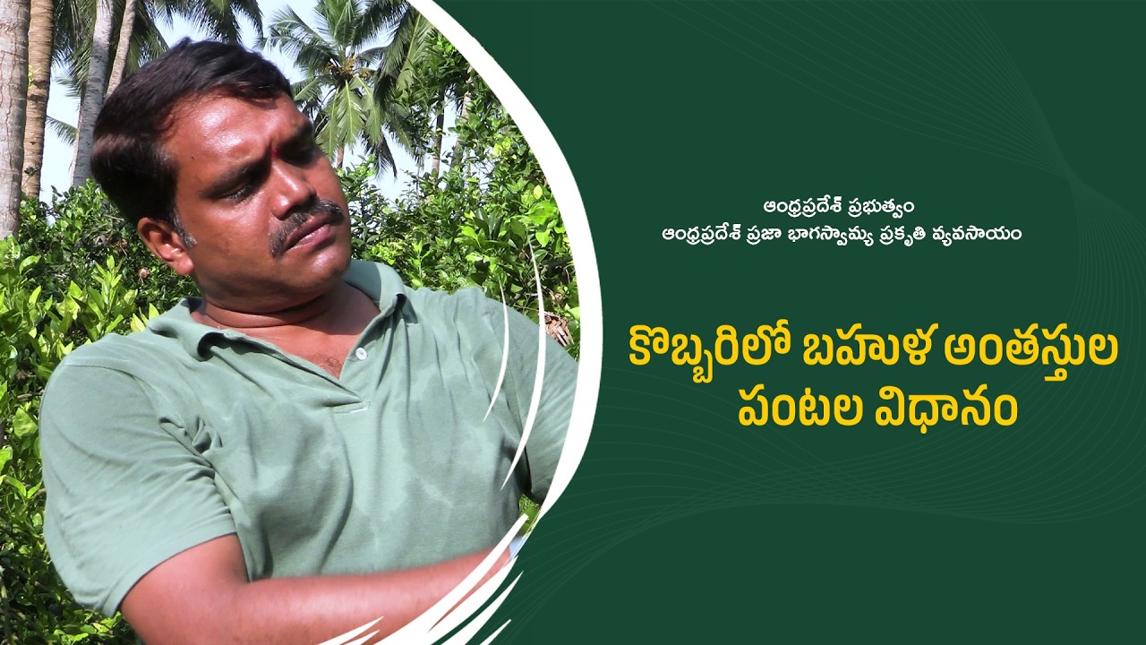 కొబ్బరిలో బహుళ అంతస్తుల పంటల విధానం