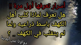 أسرار تعرفها أول مرة !! هل تعرف لماذا كلب أهل الكهف باسط ذراعيه ولما لم يتقلب في الكهف .. ؟