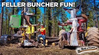 These CRAZY Machines Can Cut 800 Trees Per Day!
