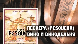 Пескера (Pesquera): вино и винодельня, регион Рибера дель Дуэро, Испания