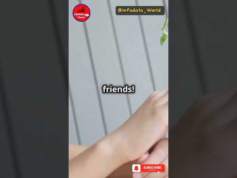 How Plants Make