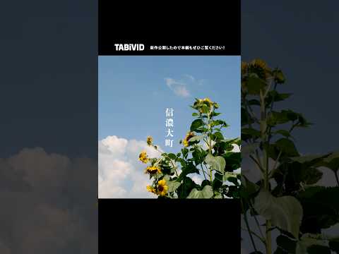 一人旅『水の生まれるまち。そこは何度も訪れたくなるまち。信濃大町』新作公開 本編は関連動画から #旅行 #ひとり旅 #大町 #japantravel #信濃大町 #絶景