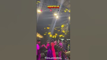 LOVA PRIMADONA OM ADELLA LIVE SURABAYA #omadellaterbaru