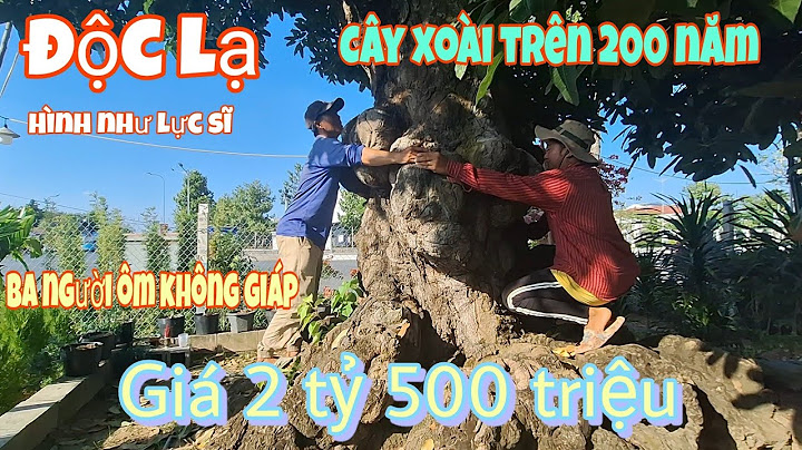 Tuổi thọ trung bình của cây xoài