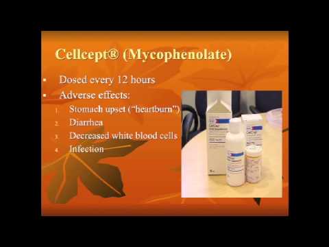 Post Transplant Liver Medications - Stacy Animisis