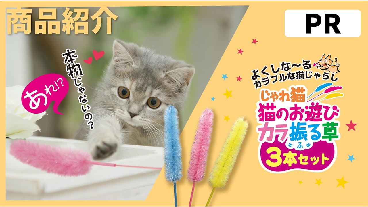 PR商品紹介】🐱キャティーマン 猫のお遊びカラ振る草 - YouTube