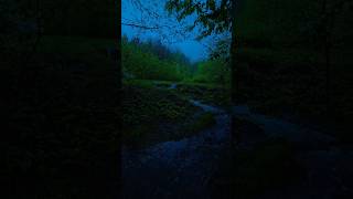 Rainy day in jungle 🌧️ | Best Nature Shorts & Cinematic Videos | Relaxing Music & Aesthetic Vibes 🌙