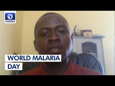 World Malaria Day: Health Expert Speaks On Eradication Efforts In Nigeria