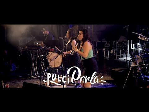 Pulciperla