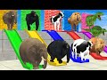 Lets break the wall with long slide fat elephant cow lion gorilla dino wild animals cage game