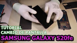 Tutorial cambio de pantalla Samsung Galaxy S20Fe