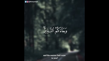 عمر الدريويز - سورة فاطر || وهم يصطرخون فيها ربنا أخرجنا نعمل صالحا