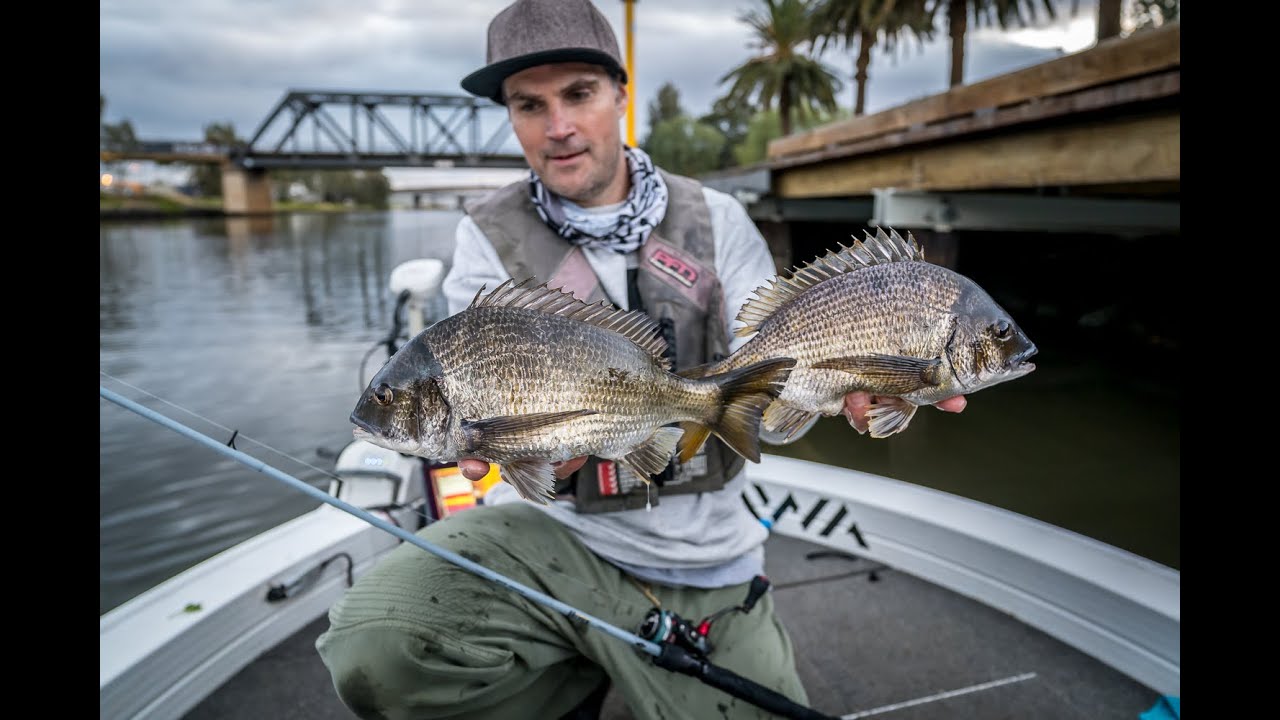 Daiwa TD hyper MK2 rods get a run on the natives and Melbourne's Bream  population. 
