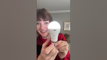 Rechargeable Light Bulbs - Use alone or in unplugged lamps!