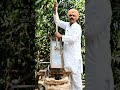 Aam todne ki desi technique #aivideo #trending #food #ekmotahathighumechala#subscribetomychannel