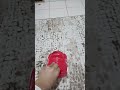 الاتجاه نحو اليمين