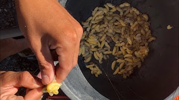 TẬP TÀNH CÂU CÁ LÓC DỊCH VỤ | HỒ LỘC PHÁT (21/10/2018) | BẮT TOÀN CÁ TO TRÊN 1 kg