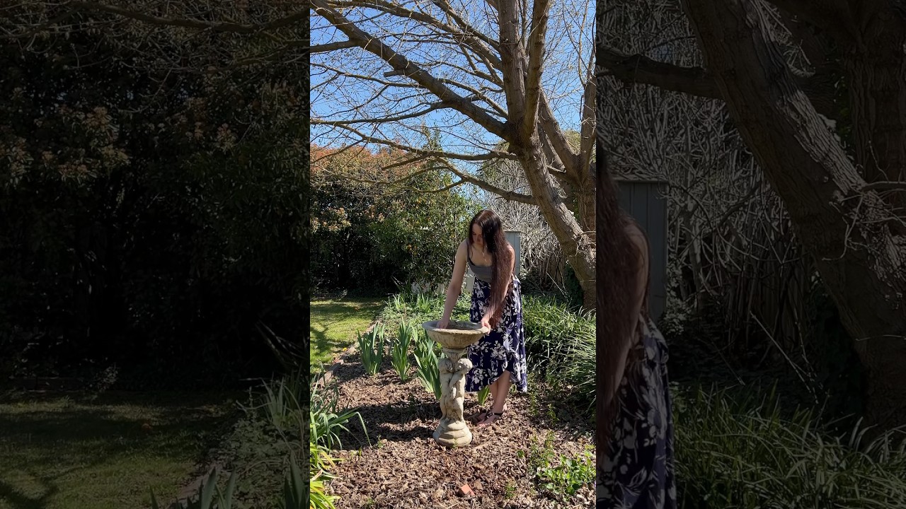 Cleaning The Bird Bath 