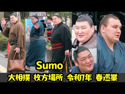 お相撲さんをお見送り❗大相撲 枚方場所(令和7年 春巡業) 大阪/ bye bye Sumo wrestlers 大の里/尊富士/熱海富士/宇良/大栄翔/安青錦
