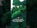 Στο «φως» ιστορία 26 αιώνων: Αρχαία ευρήματα στο βυθό της Κάσου και της Καρπάθου.