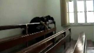 Kemu King Edward Medical University