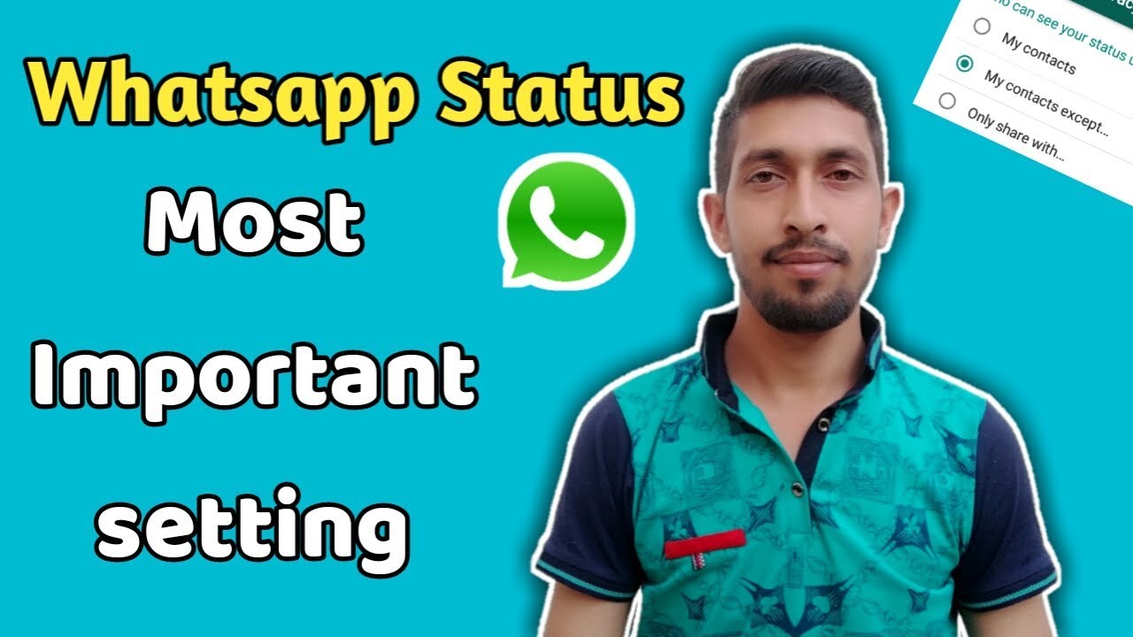 Whatsapp status most important setting status privacy whatsapp