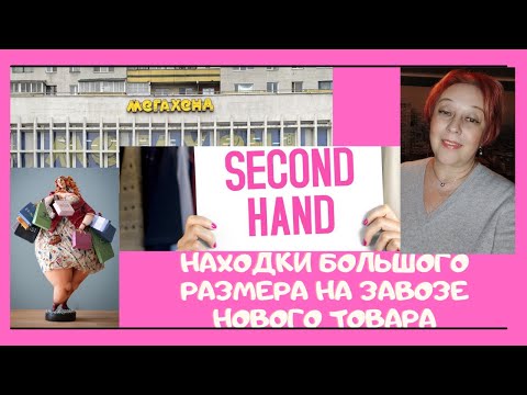 Видео: Состояние Ванессы Хадженс: вики, замужем, семья, свадьба, зарплата, братья и сестры