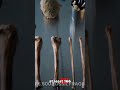 The Eerie Mystery of the Bone Cave | Ancient History Uncovered