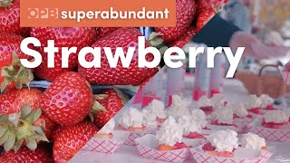 Oregon strawberries' sweet mix of science + history | Pacific Northwest food | Superabundant S2 E4