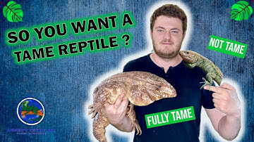 This is How to Build a Relationship With Reptiles!