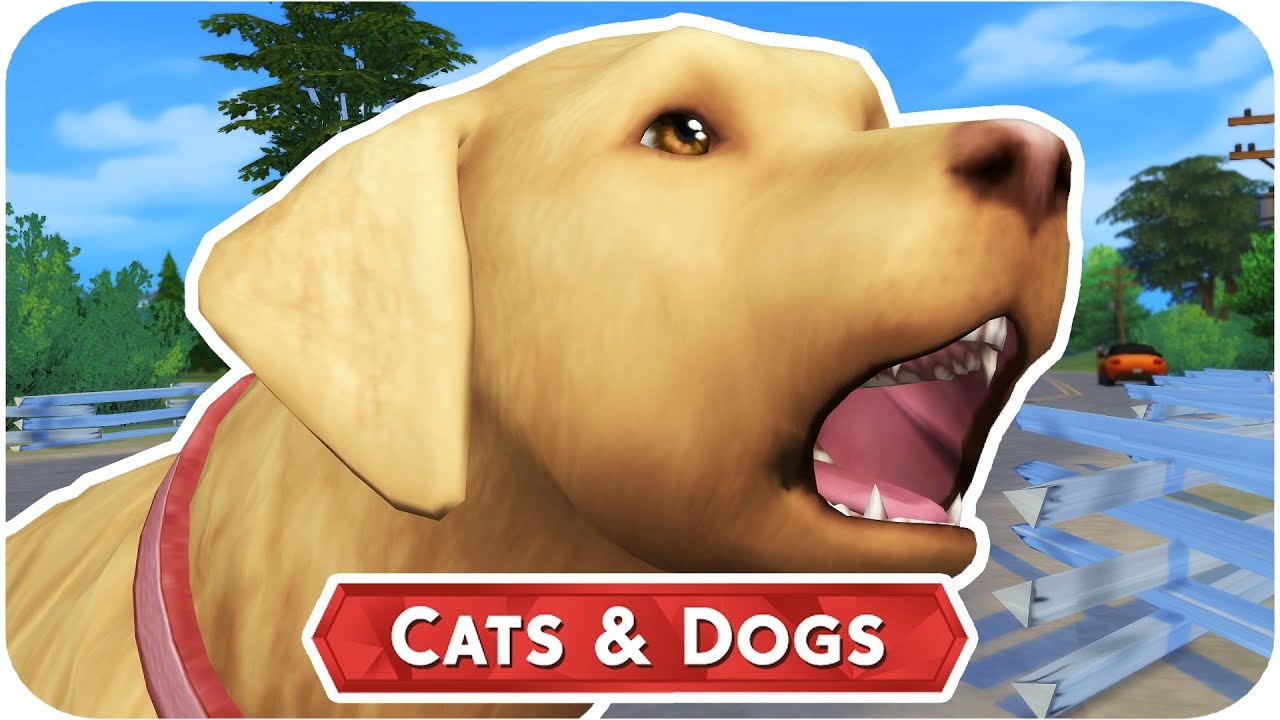 FLEAS?! 🐱🐶 THE SIMS 4 // CATS AND DOGS — PART 17 YouTube