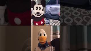 Donald Ducc And Mickey Mouse Rate Satisfying Videos
