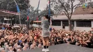 SAMBEL TERASI - HAPPY ASMARA - live