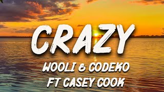 Wooli \u0026 Codeko - Crazy (Lyrics) feat. Casey Cook