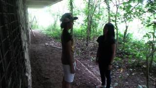 The Cellar   Trailer