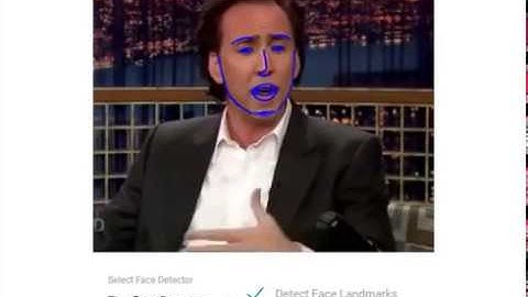 Javascript Realtime Face Landmark Detection with face-api.js